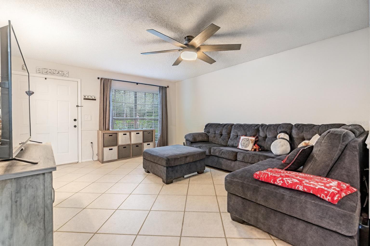 Living Room / Entry Door.