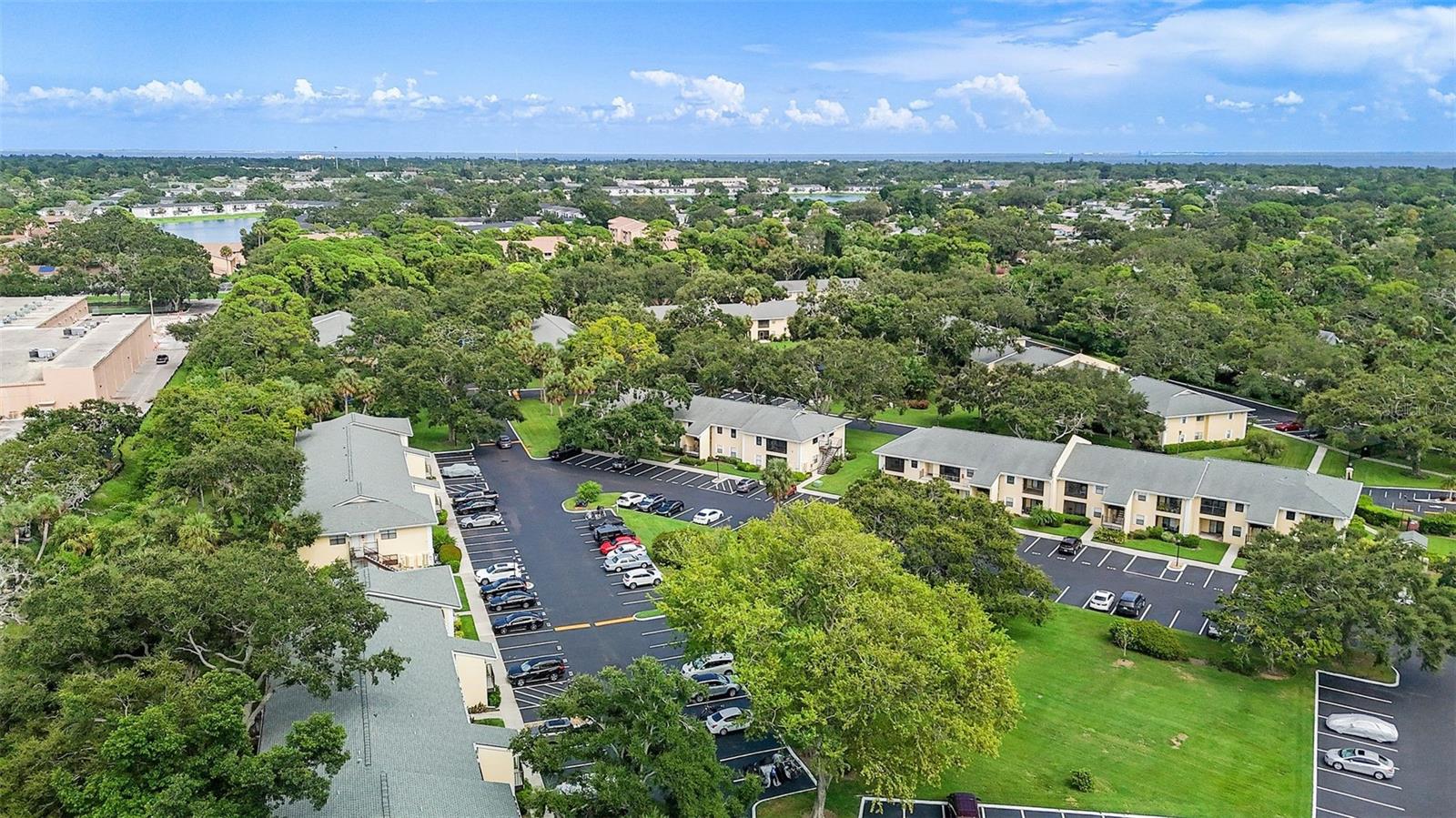 3001 58TH AVE S #101, ST PETERSBURG, FL, 33712