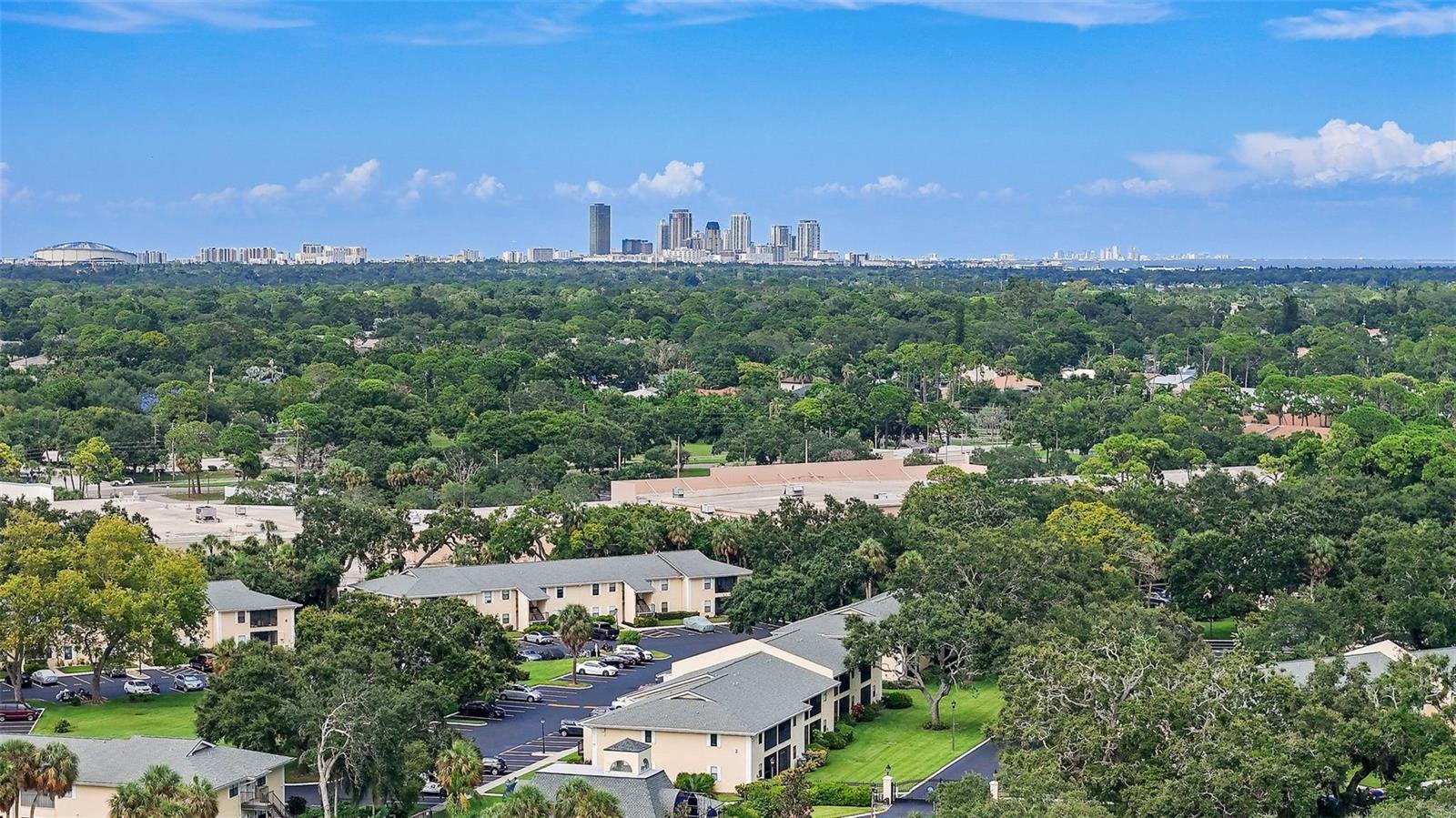 3001 58TH AVE S #101, ST PETERSBURG, FL, 33712