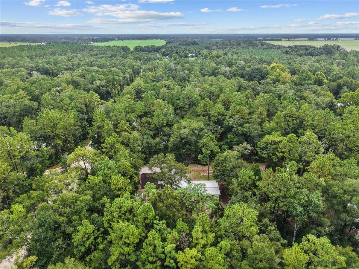 GC533458 Property Photo