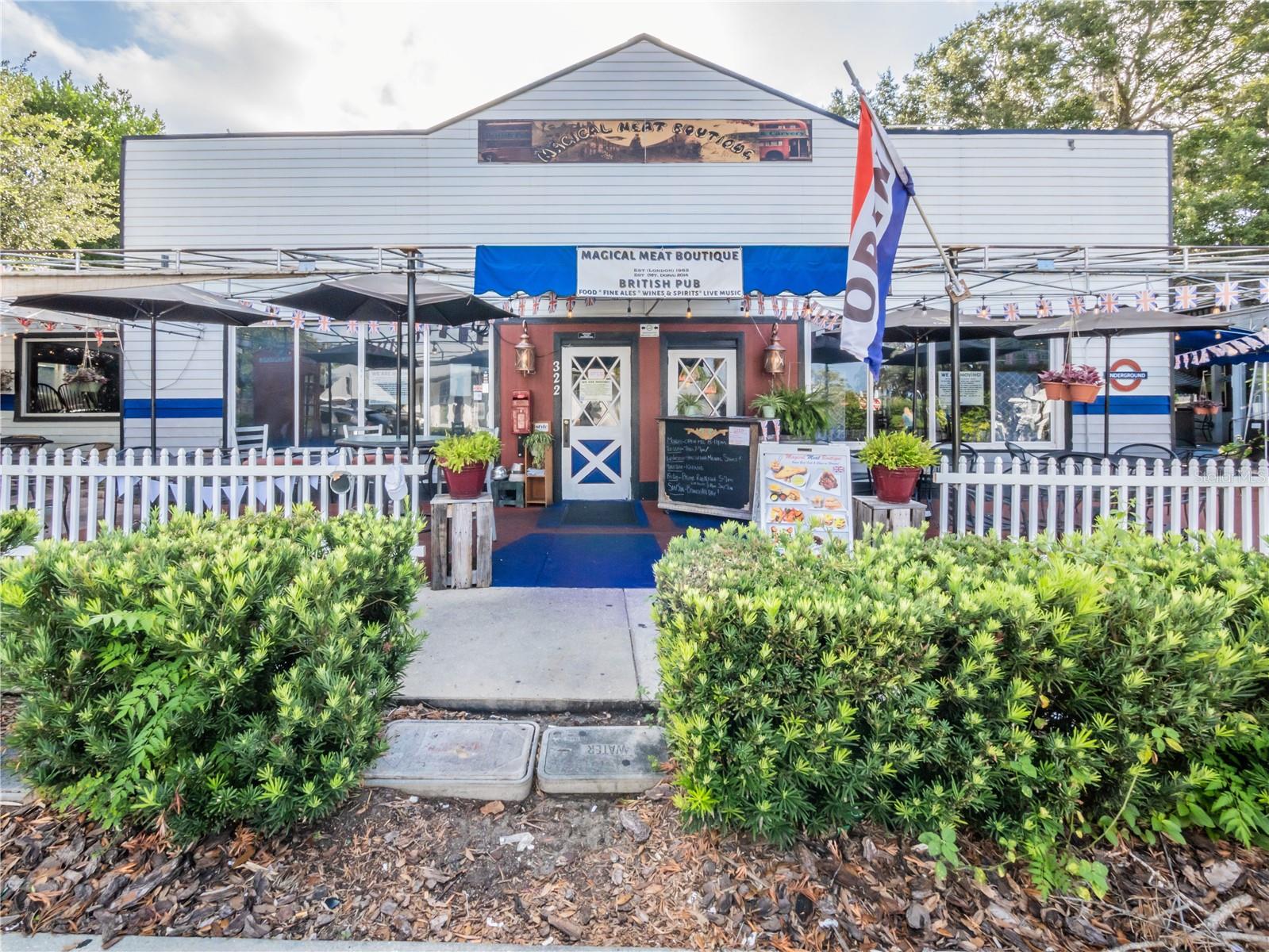 322 N ALEXANDER ST, MOUNT DORA, FL, 32757