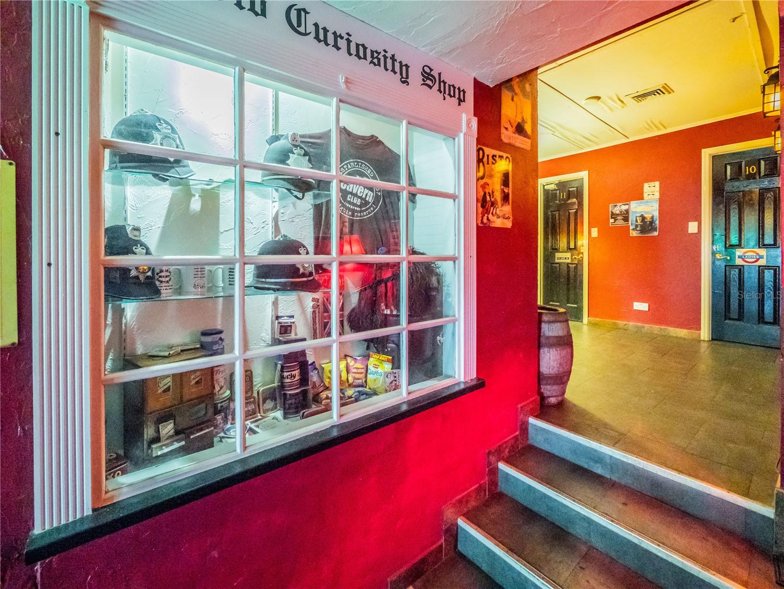 322 N ALEXANDER ST, MOUNT DORA, FL, 32757