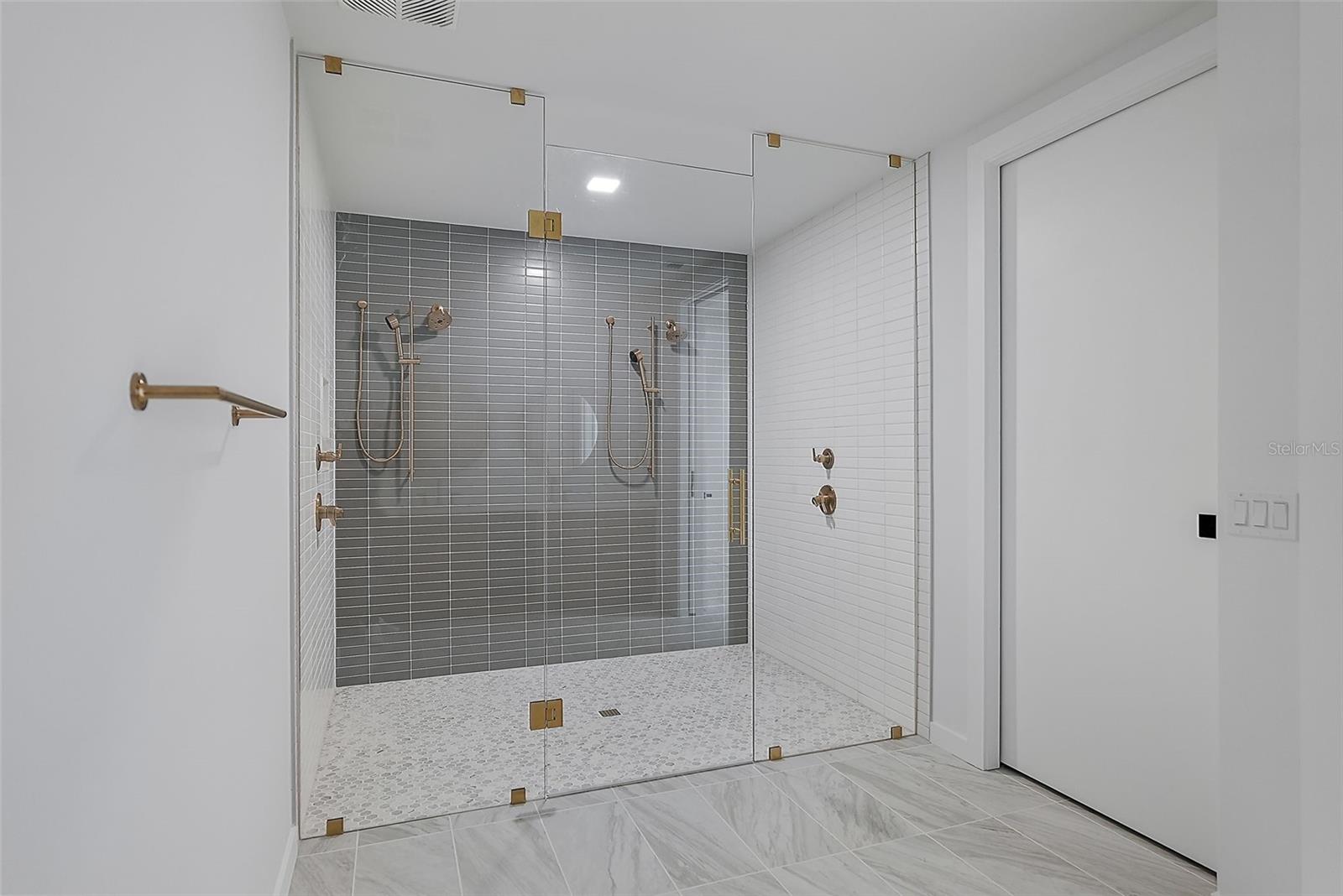 Spacious Primary Shower