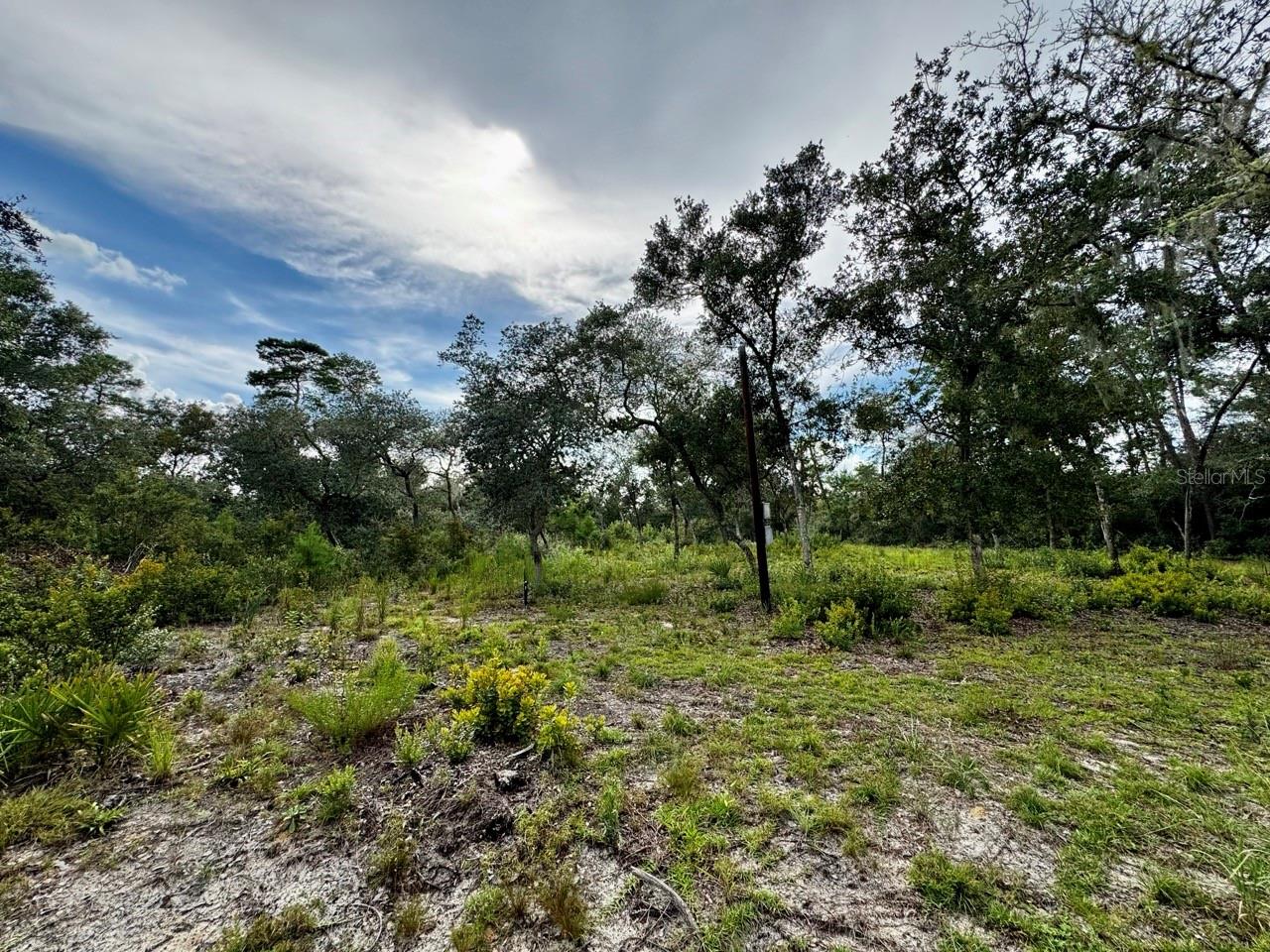 OM708094 Property Photo