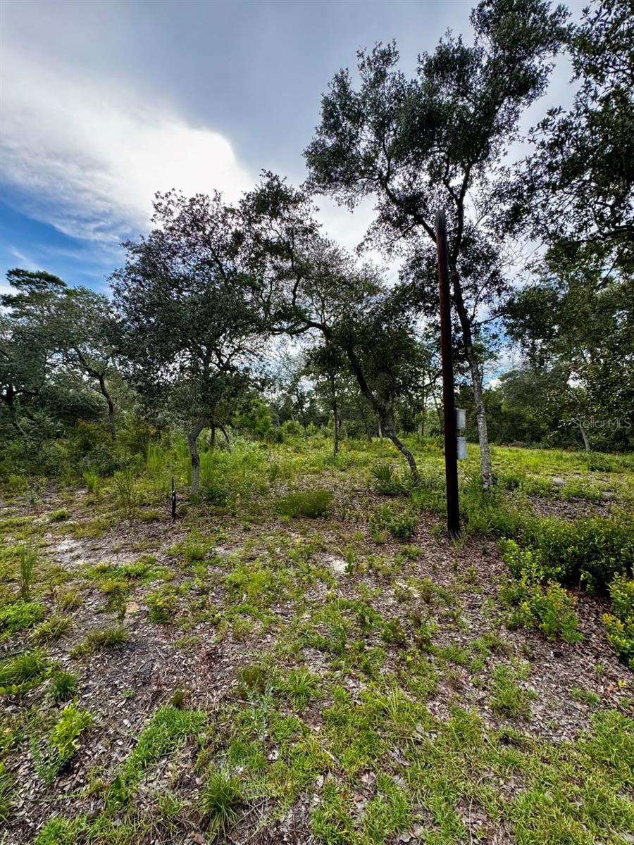 OM708094 Property Photo