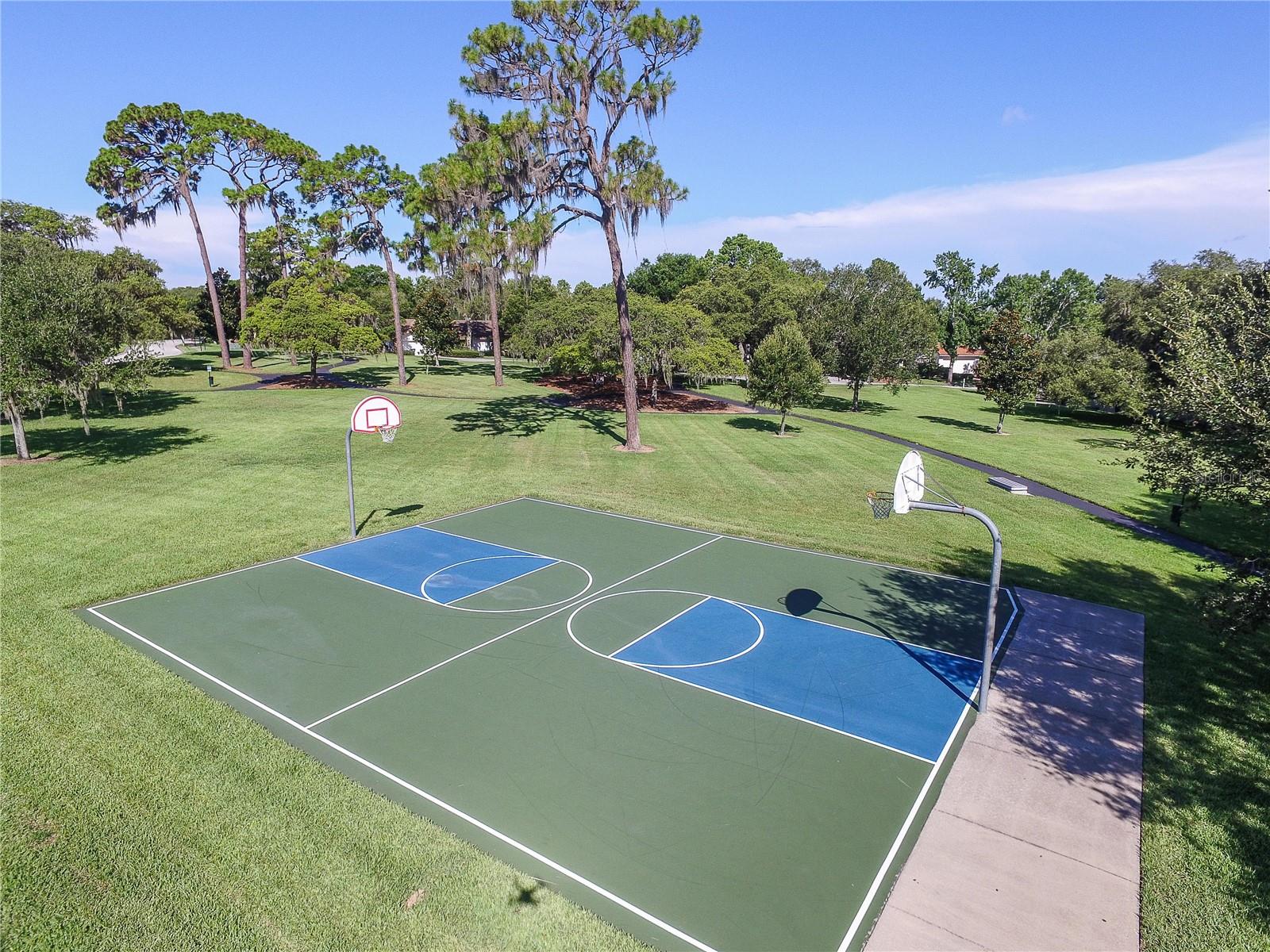 3472 SHORELINE CIR, PALM HARBOR, FL, 34684