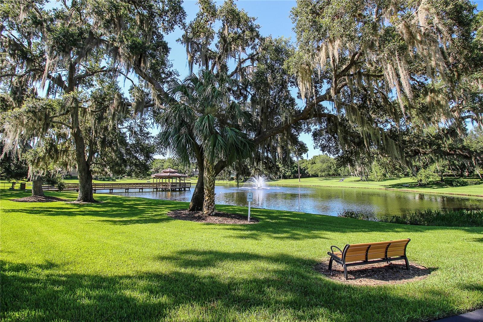 3472 SHORELINE CIR, PALM HARBOR, FL, 34684