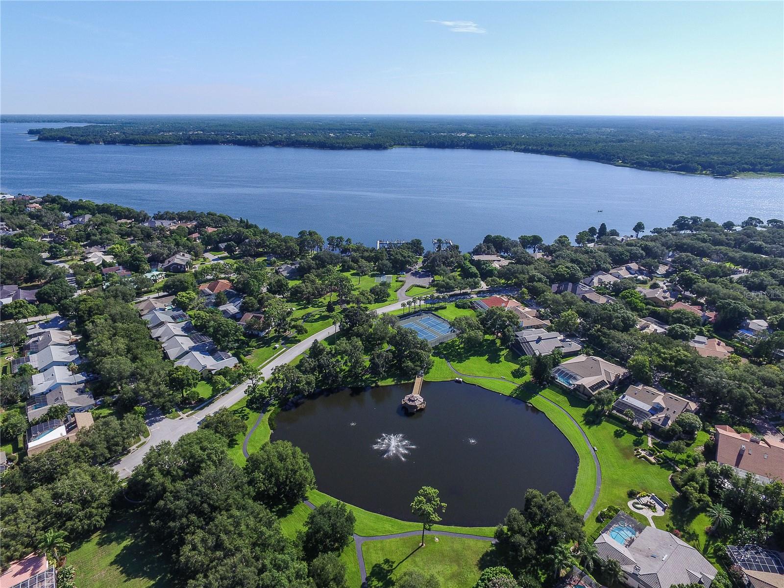 3472 SHORELINE CIR, PALM HARBOR, FL, 34684