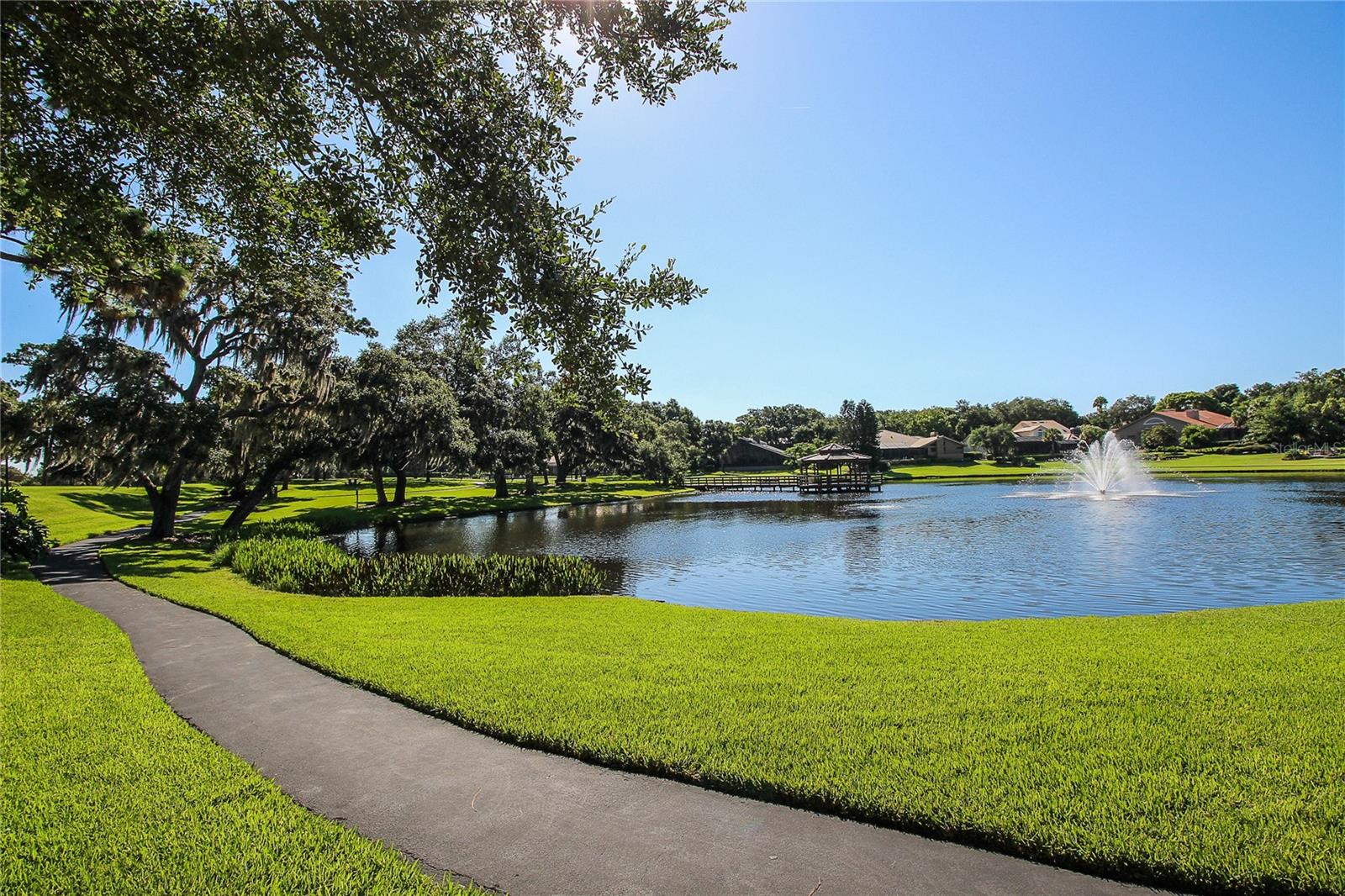 3472 SHORELINE CIR, PALM HARBOR, FL, 34684