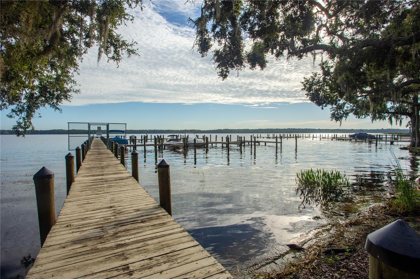 3472 SHORELINE CIR, PALM HARBOR, FL, 34684