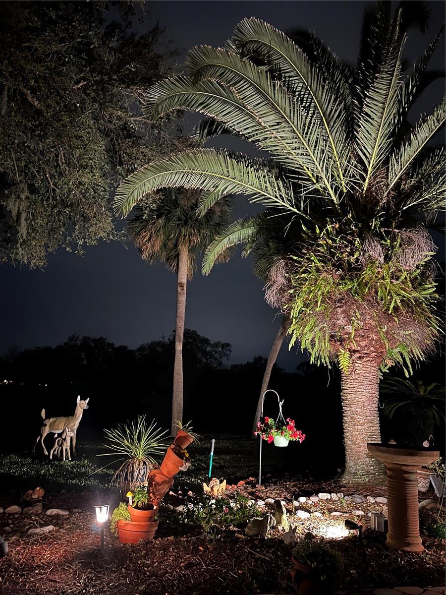 1786 CRANBERRY ISLES WAY, APOPKA, FL, 32712