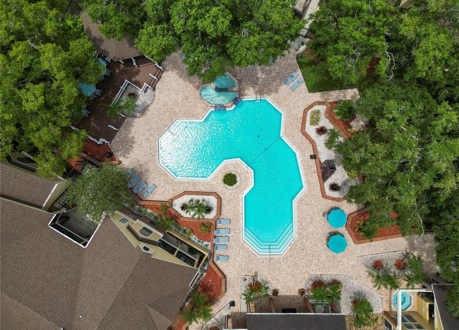 8746 MALLARD RESERVE DR #204, TAMPA, FL, 33614