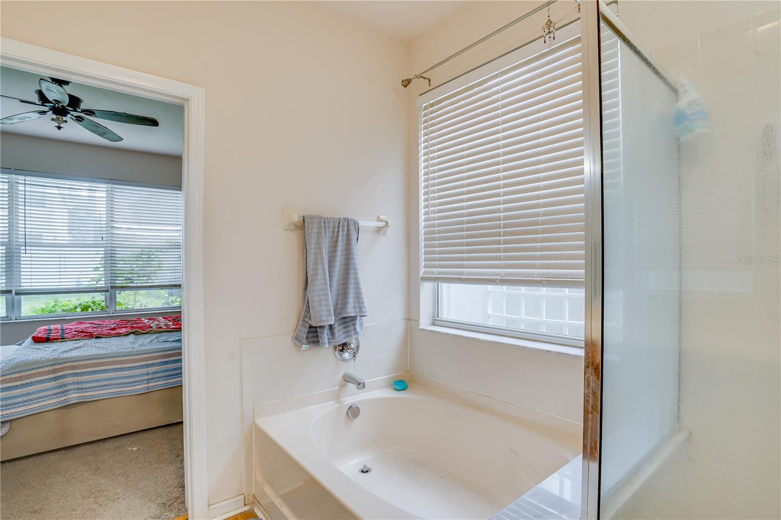 Master Bath Garden Tub