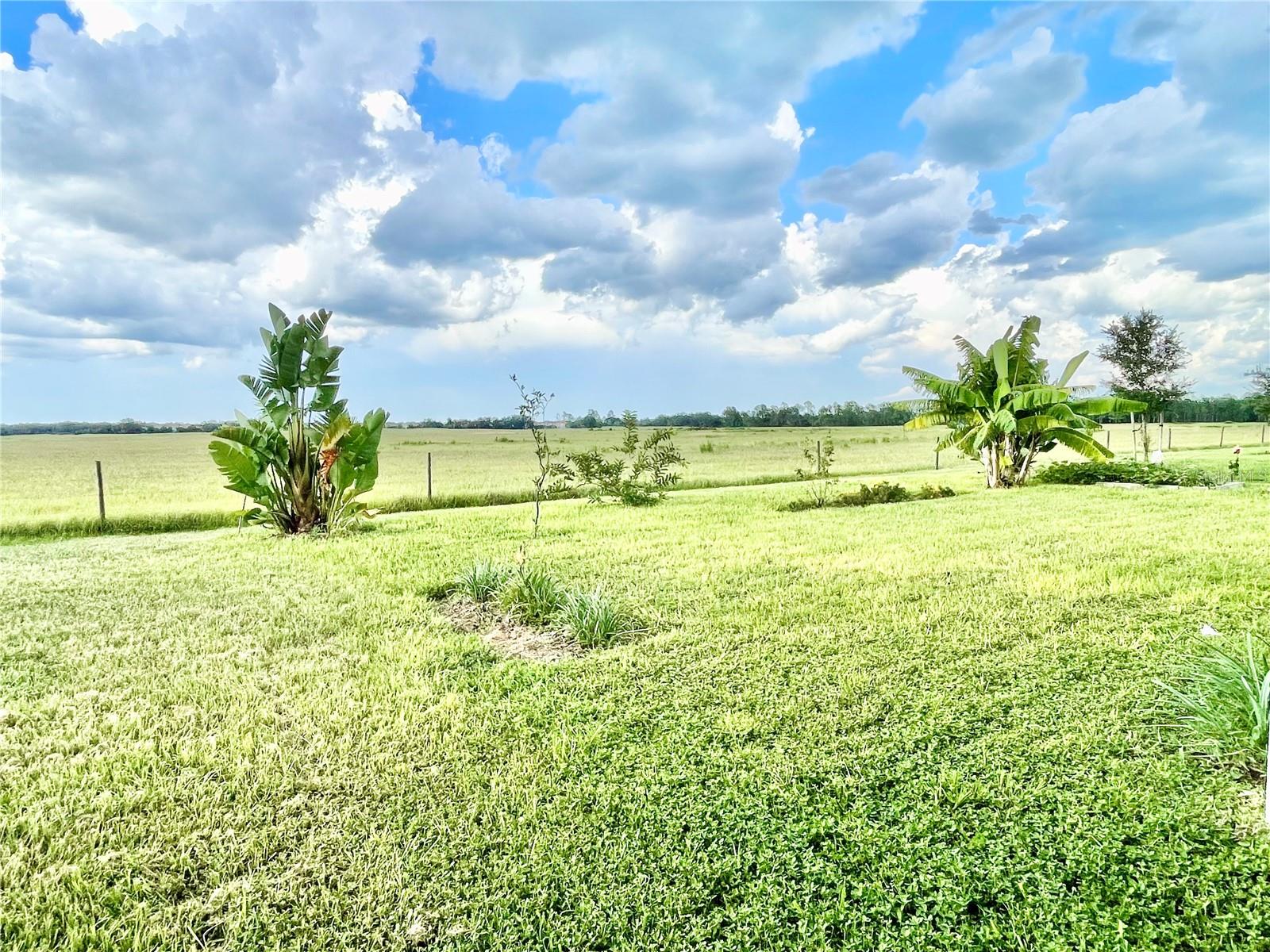 648 DARING DR, DAVENPORT, FL, 33837