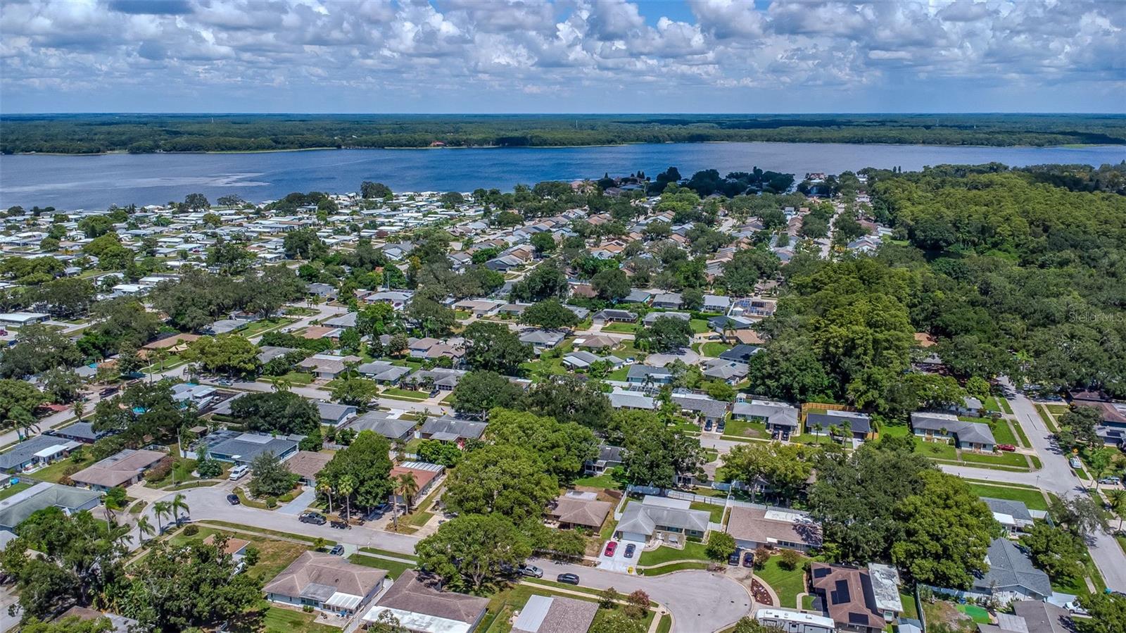 3250 CAUSEWAY DR, PALM HARBOR, FL, 34684