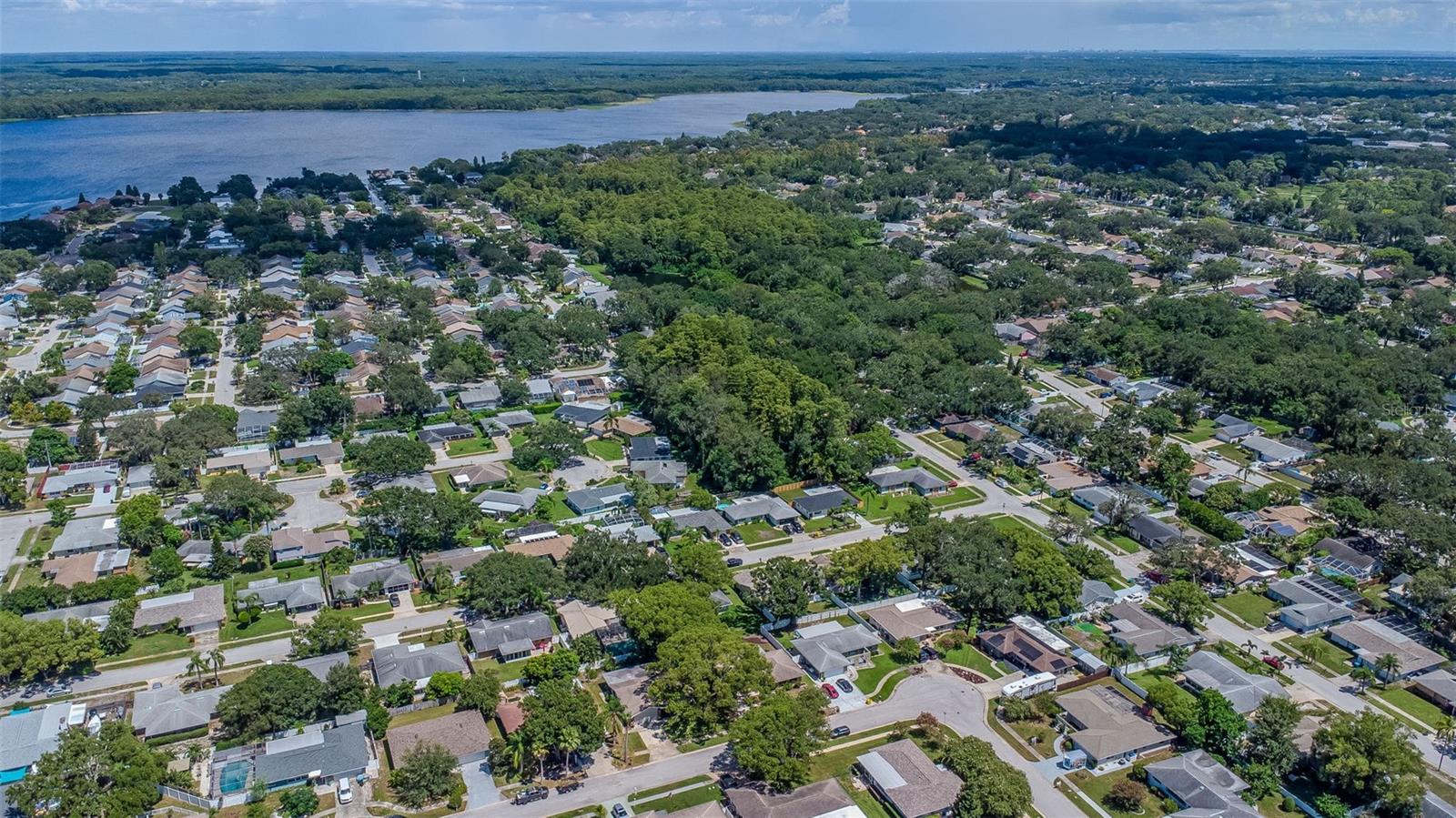 3250 CAUSEWAY DR, PALM HARBOR, FL, 34684