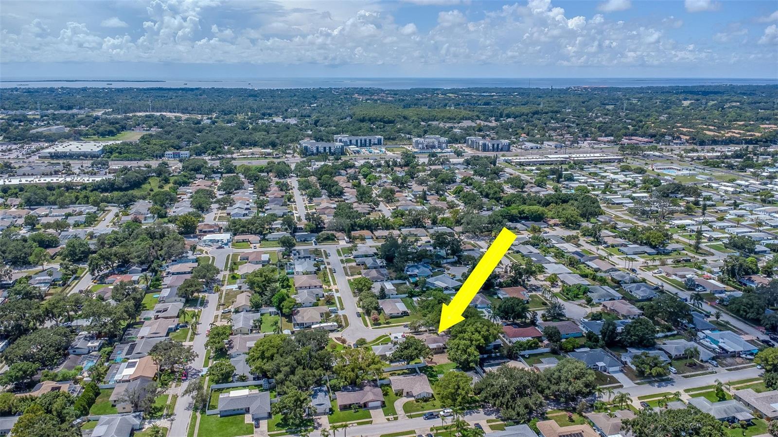 3250 CAUSEWAY DR, PALM HARBOR, FL, 34684