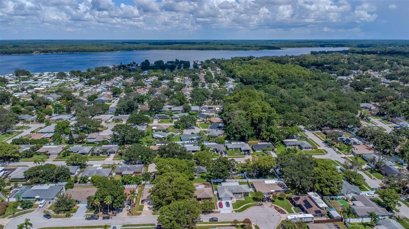 3250 CAUSEWAY DR, PALM HARBOR, FL, 34684