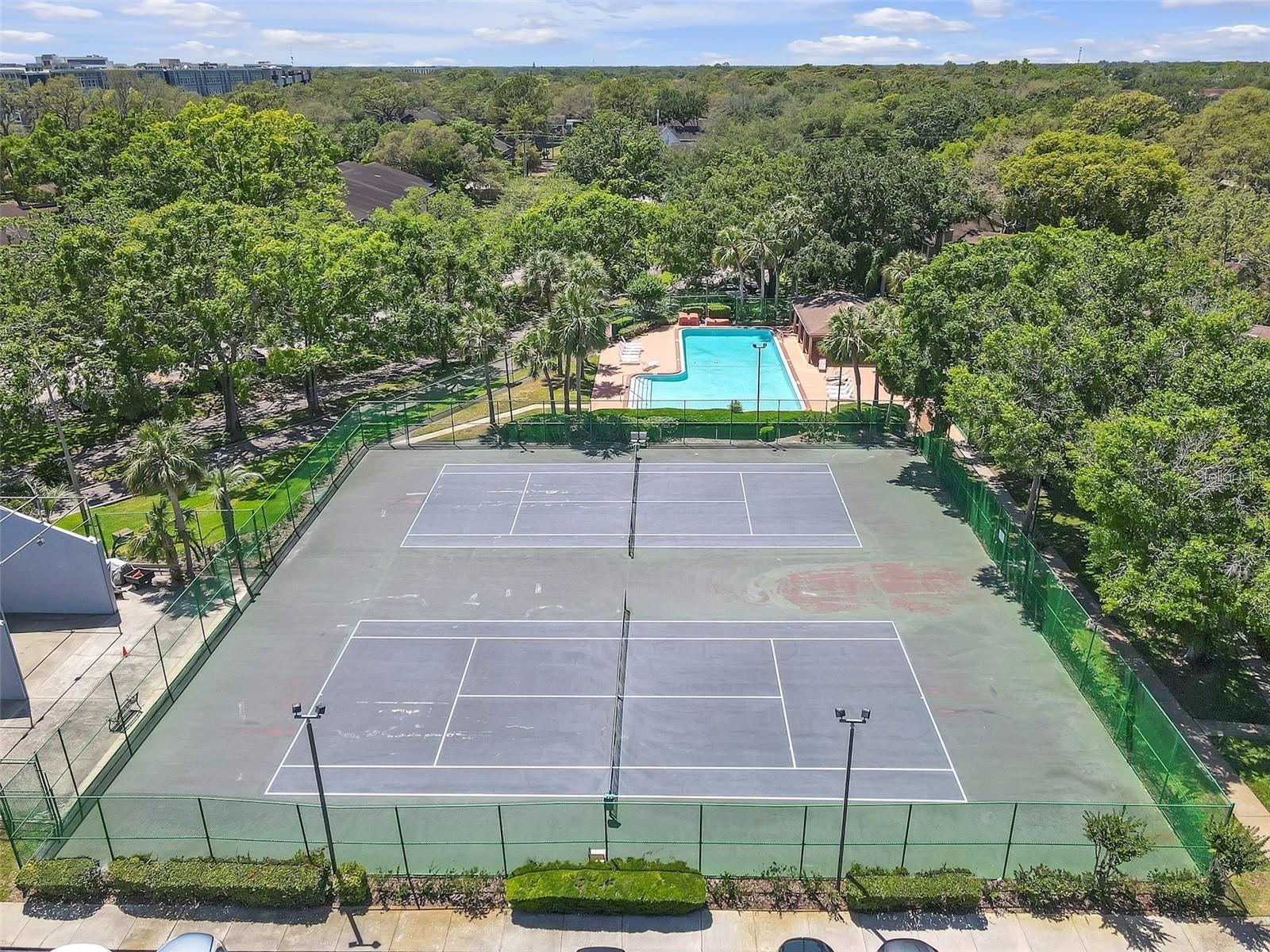 14419 HANGING MOSS CIR #101, TAMPA, FL, 33613