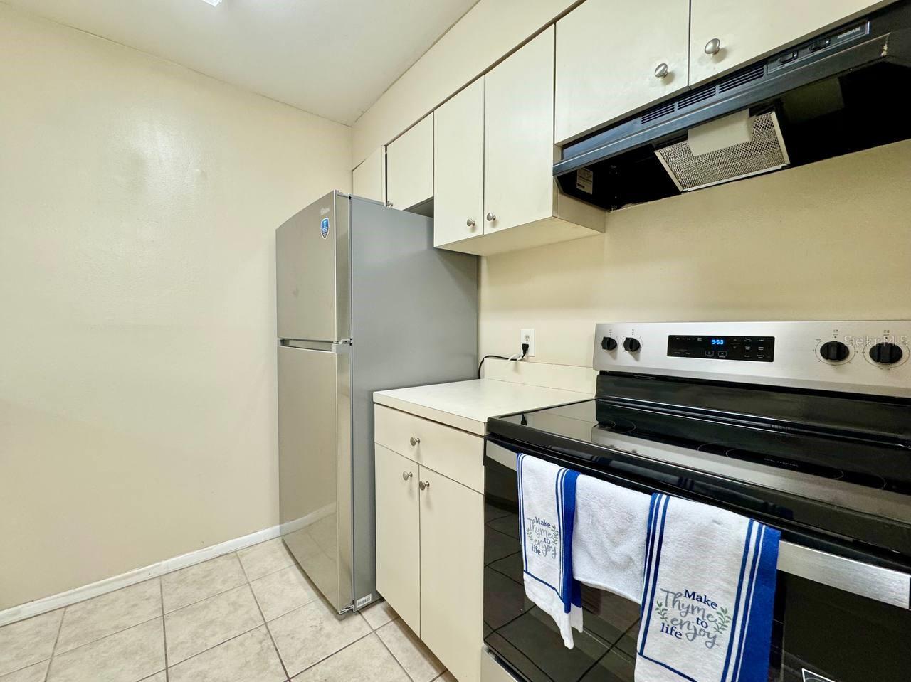 14419 HANGING MOSS CIR #101, TAMPA, FL, 33613