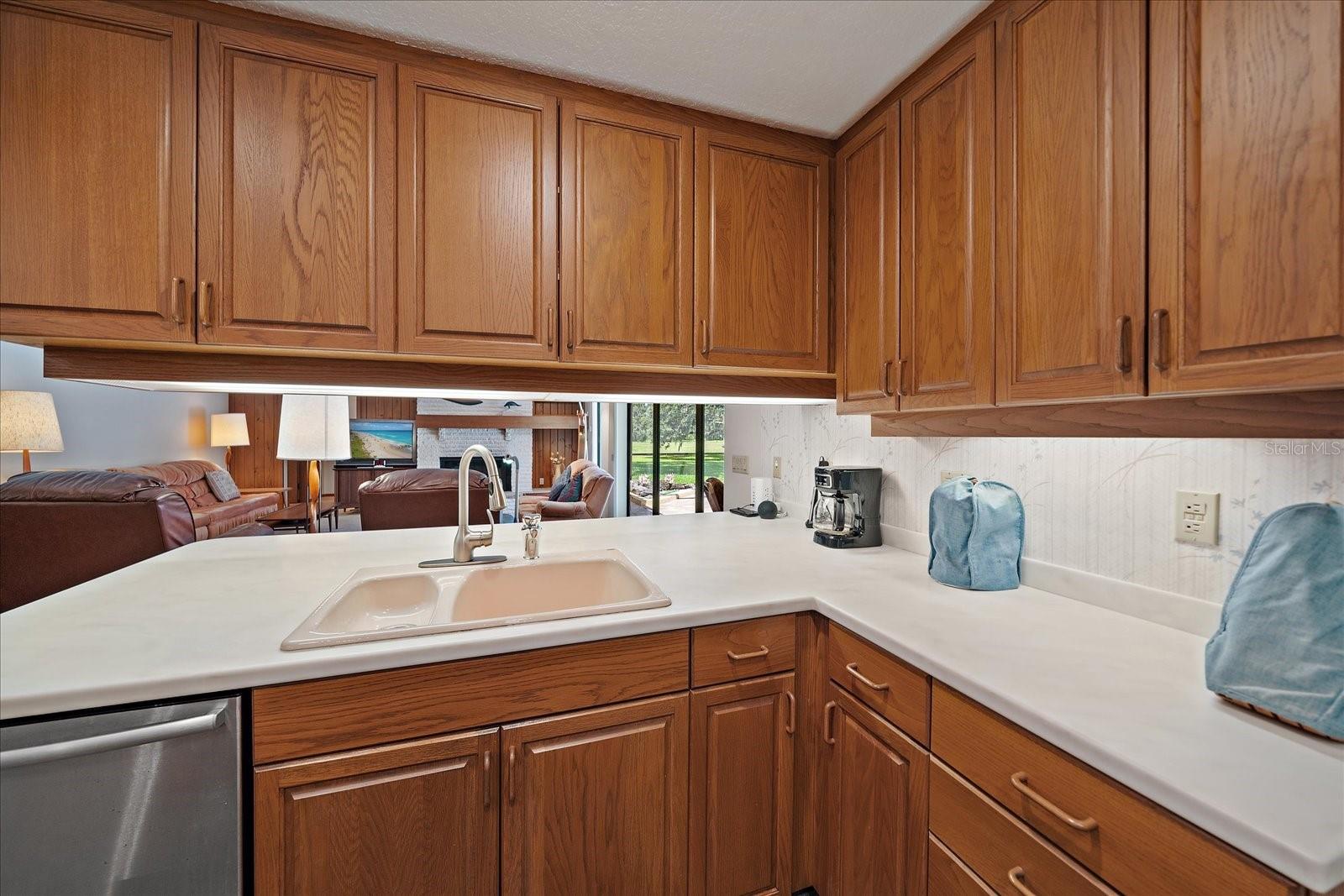 2910 OLD ORCHARD LN, PARRISH, FL, 34219