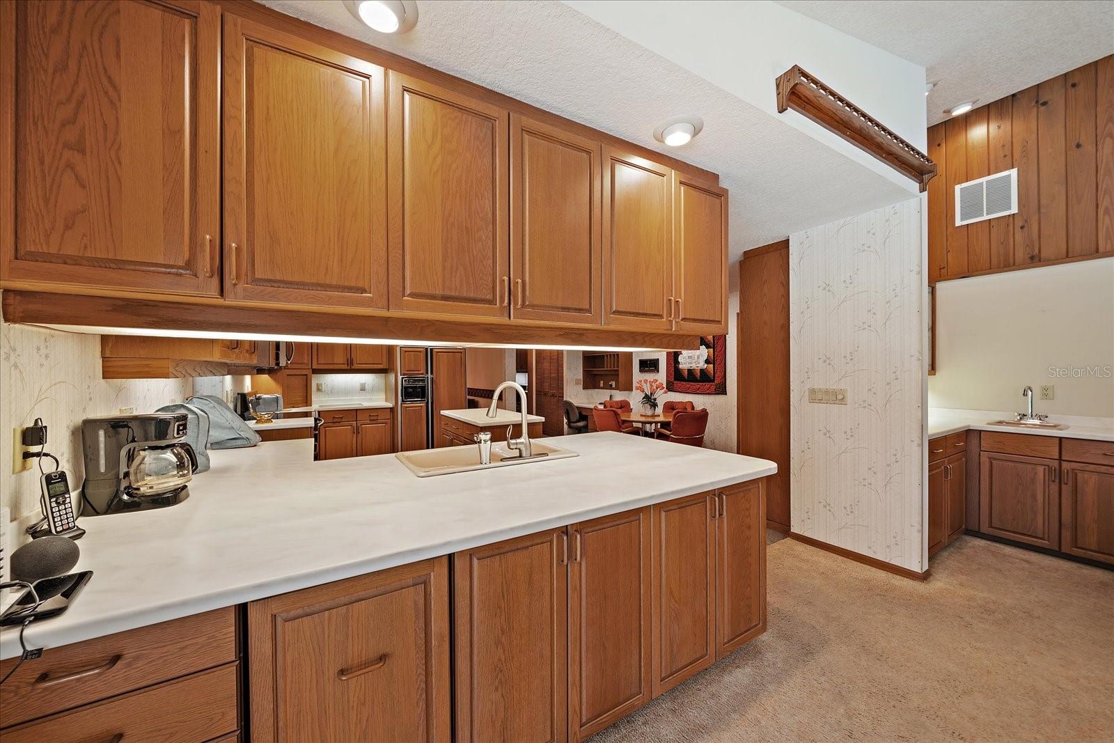 2910 OLD ORCHARD LN, PARRISH, FL, 34219