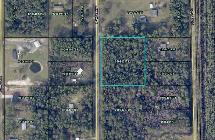 10420 BAYLOR AVE, HASTINGS, FL, 32145