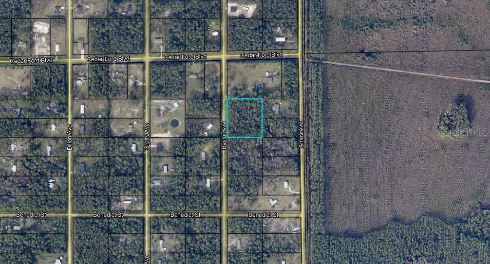 10420 BAYLOR AVE, HASTINGS, FL, 32145