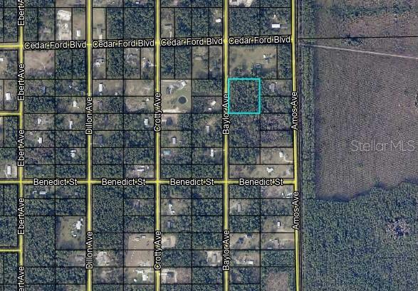 10420 BAYLOR AVE, HASTINGS, FL, 32145