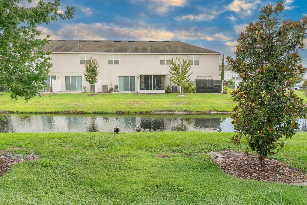 7112 SUMMER HOLLY PL, RIVERVIEW, FL, 33578