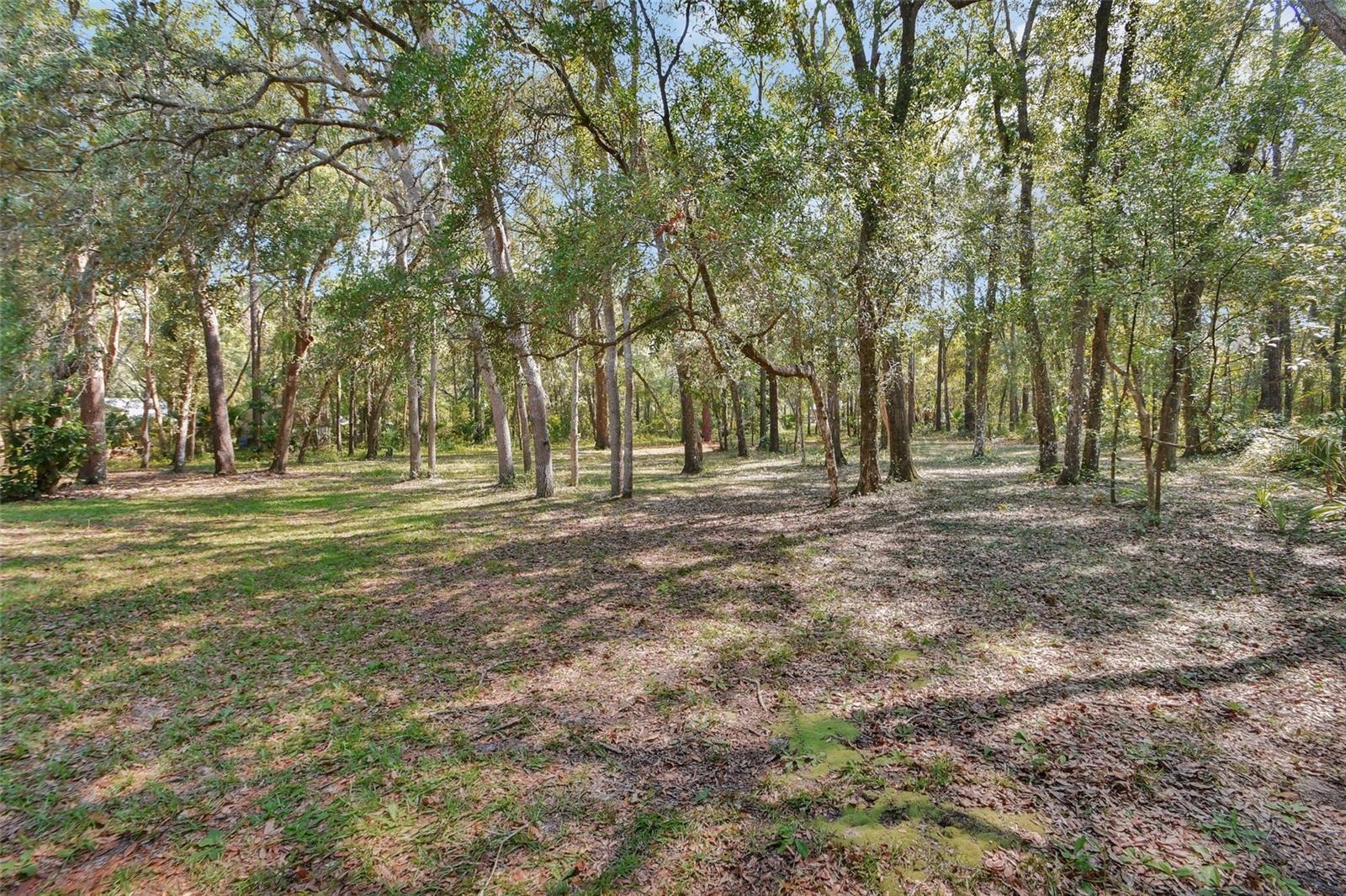 445 AZALEA ST, DELAND, FL, 32720