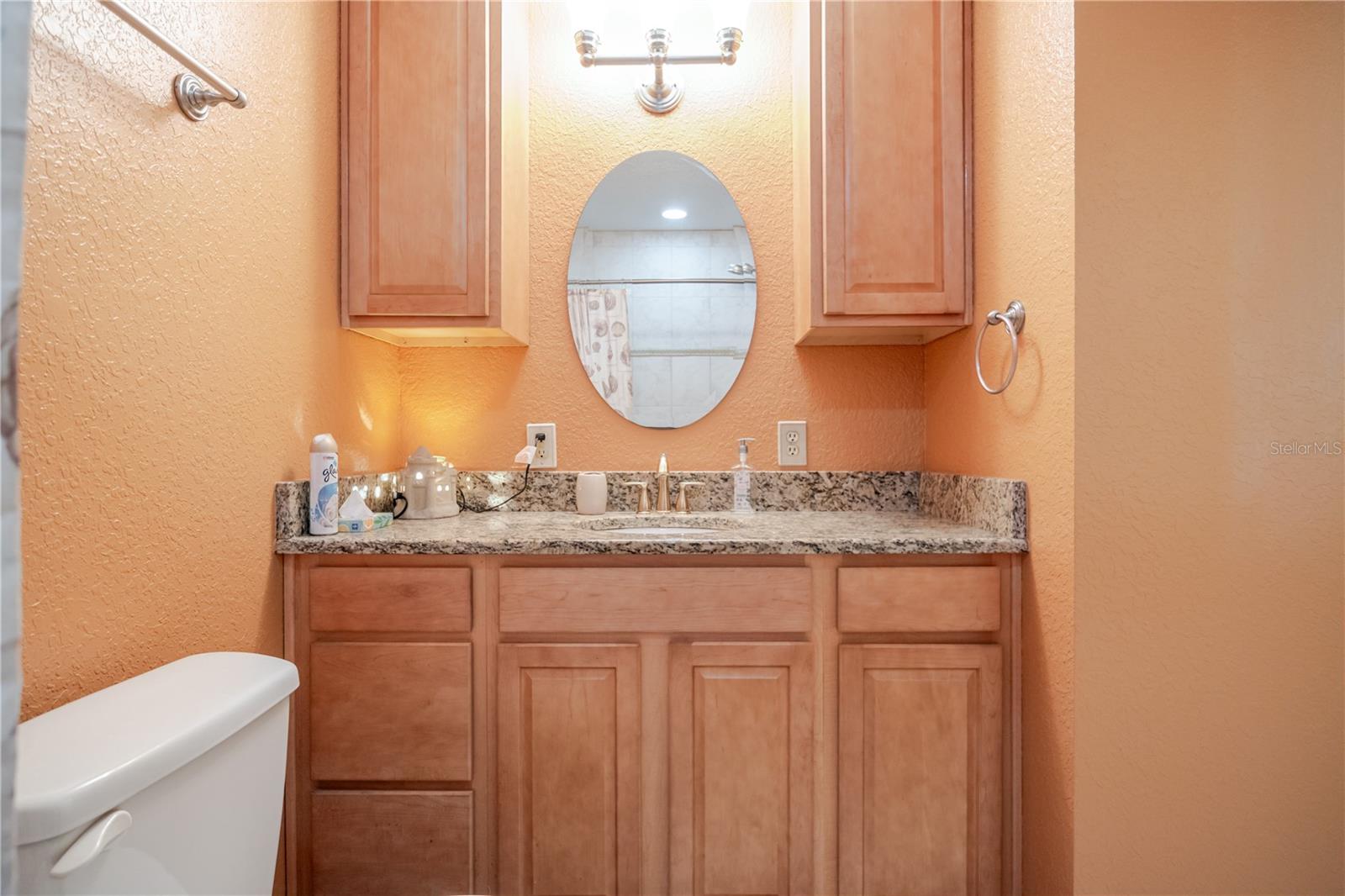 925 SKYVIEW DR, BRANDON, FL, 33510