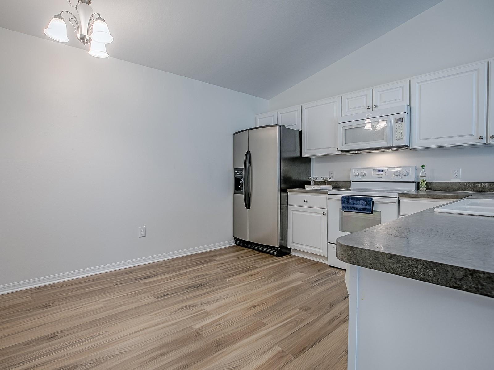 3090 LOYOLA CT, THE VILLAGES, FL, 32163