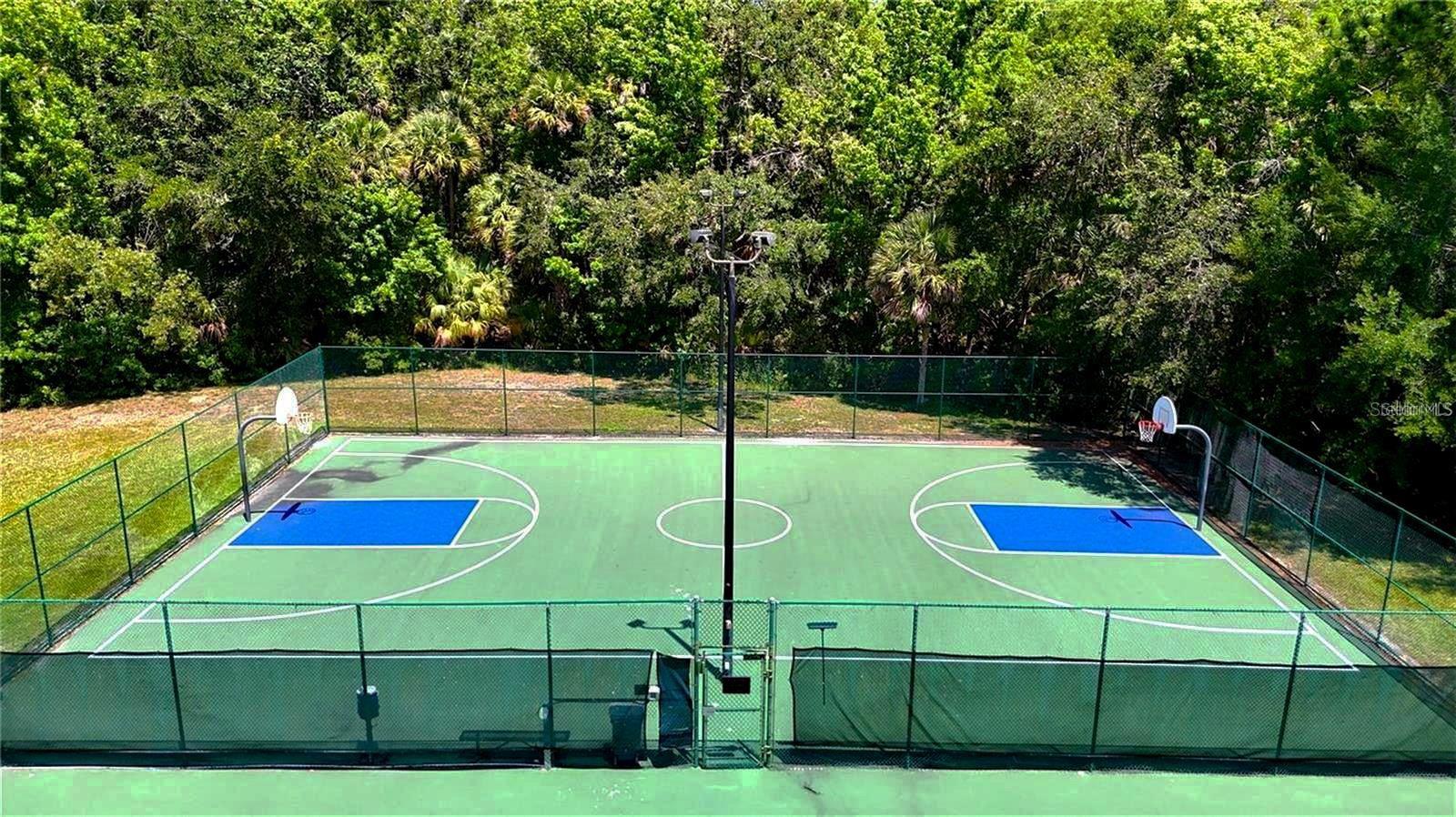 5125 PALM SPRINGS BLVD #7303, TAMPA, FL, 33647