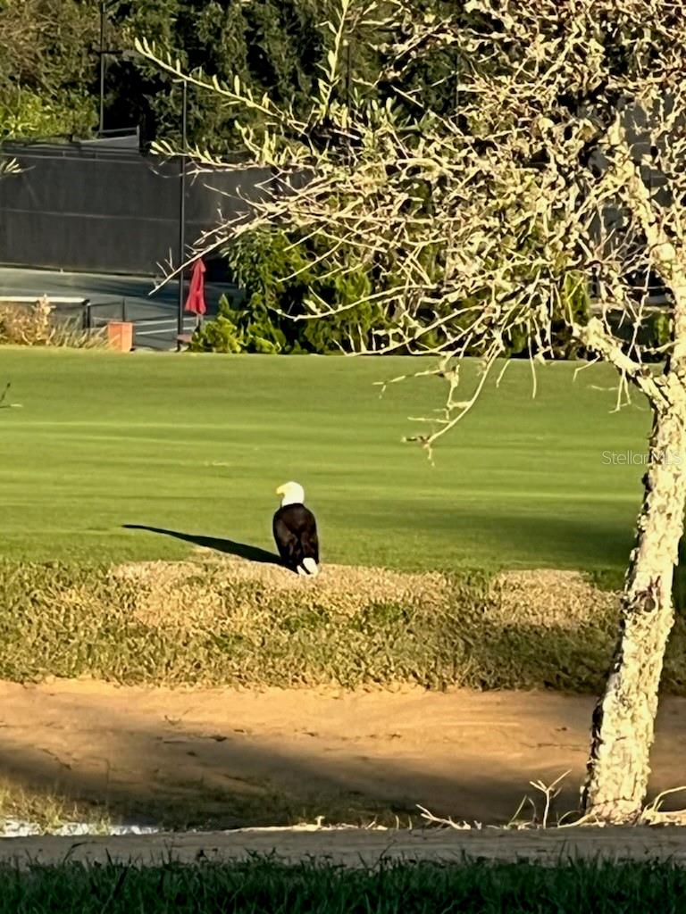 O6338565 Property Photo