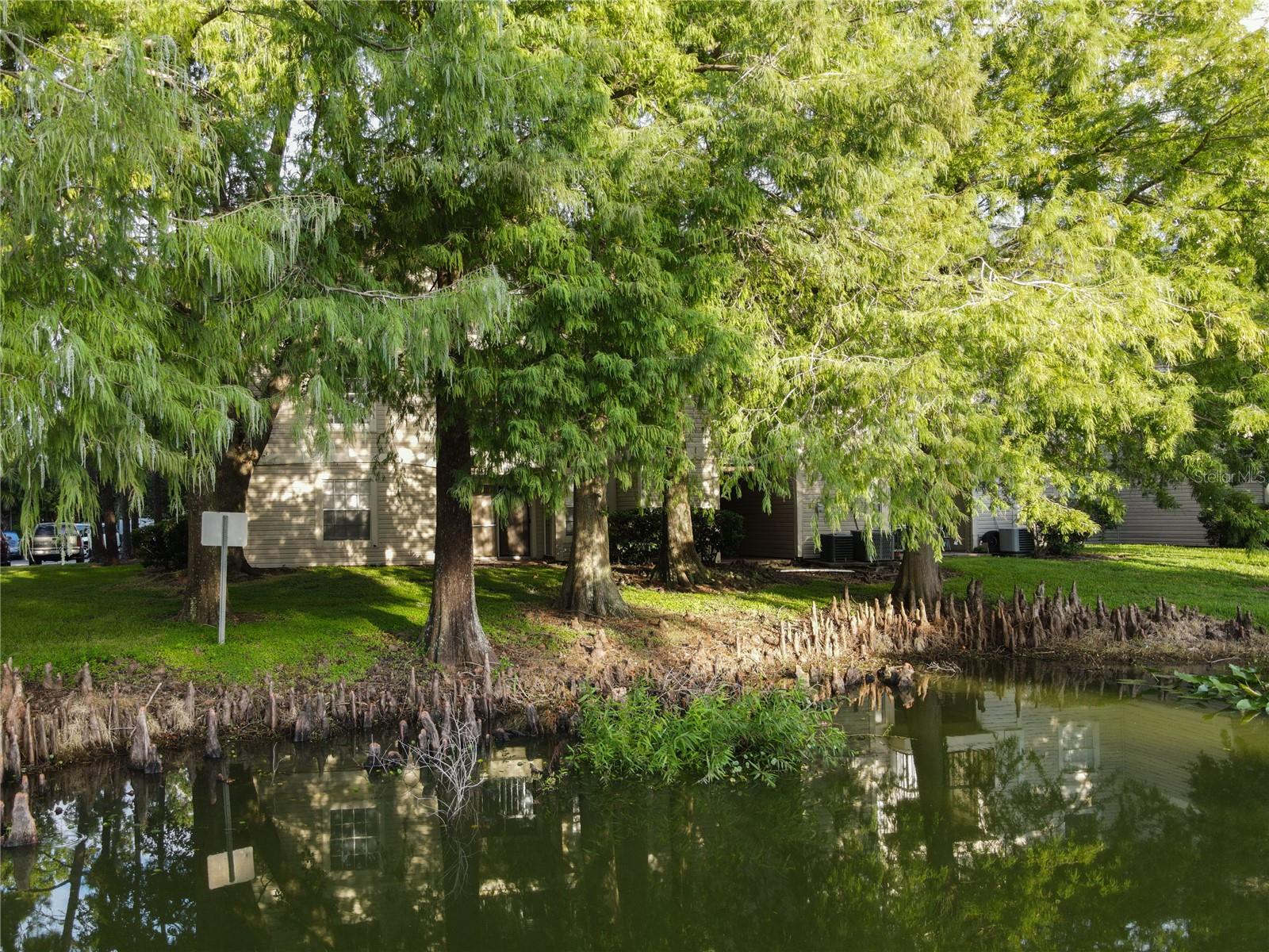 1932 LAKE ATRIUMS CIR #83, ORLANDO, FL, 32839