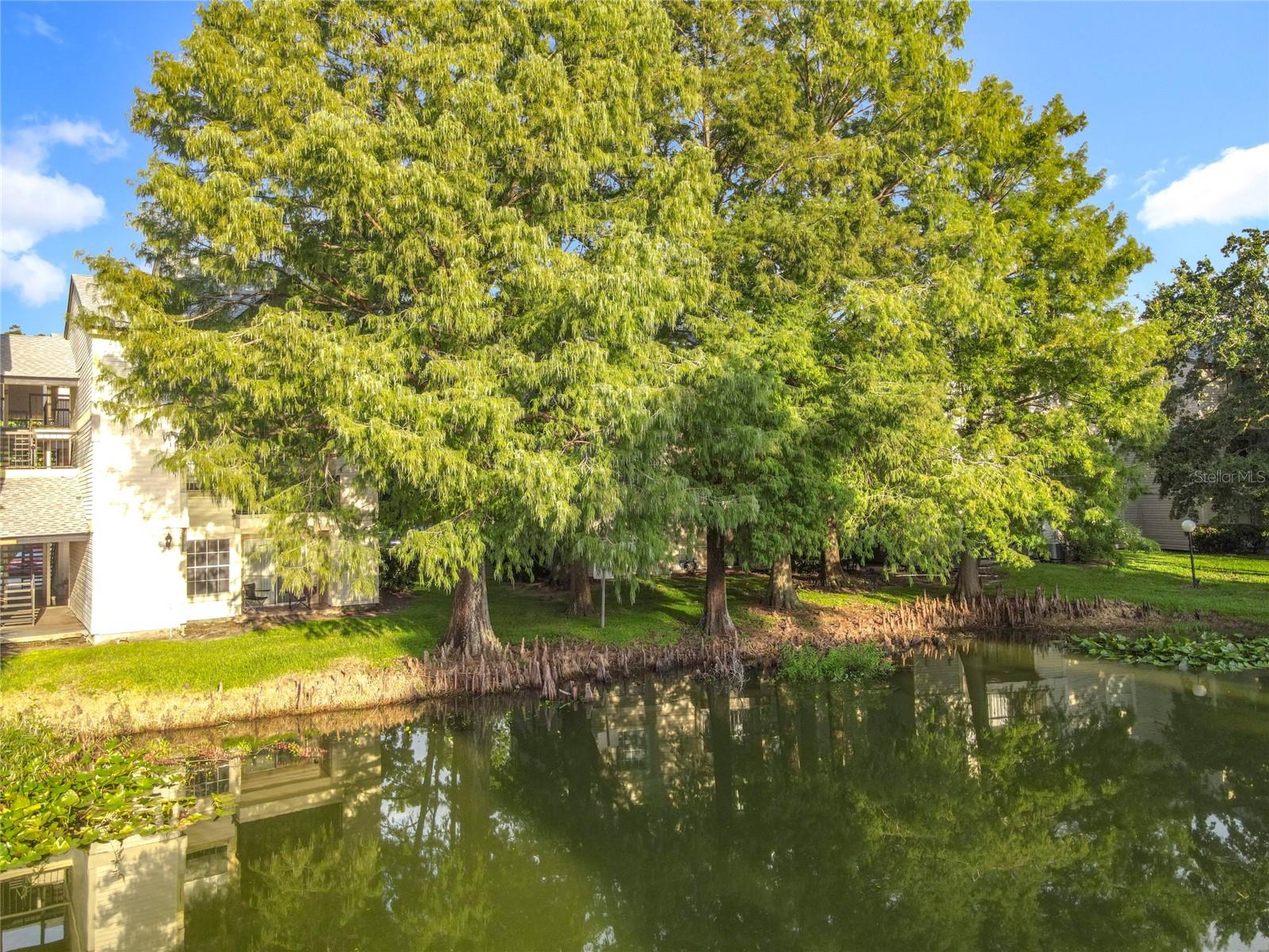 1932 LAKE ATRIUMS CIR #83, ORLANDO, FL, 32839