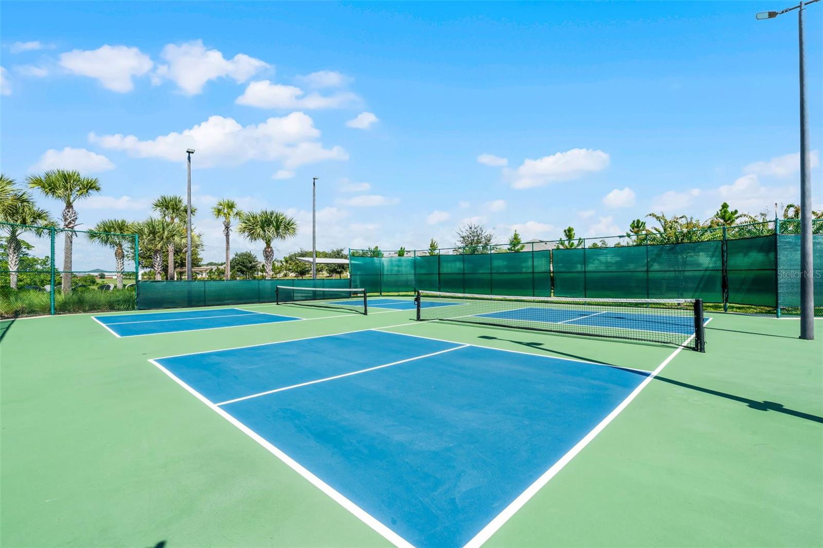 17834 BLAZING STAR CIR, CLERMONT, FL, 34714