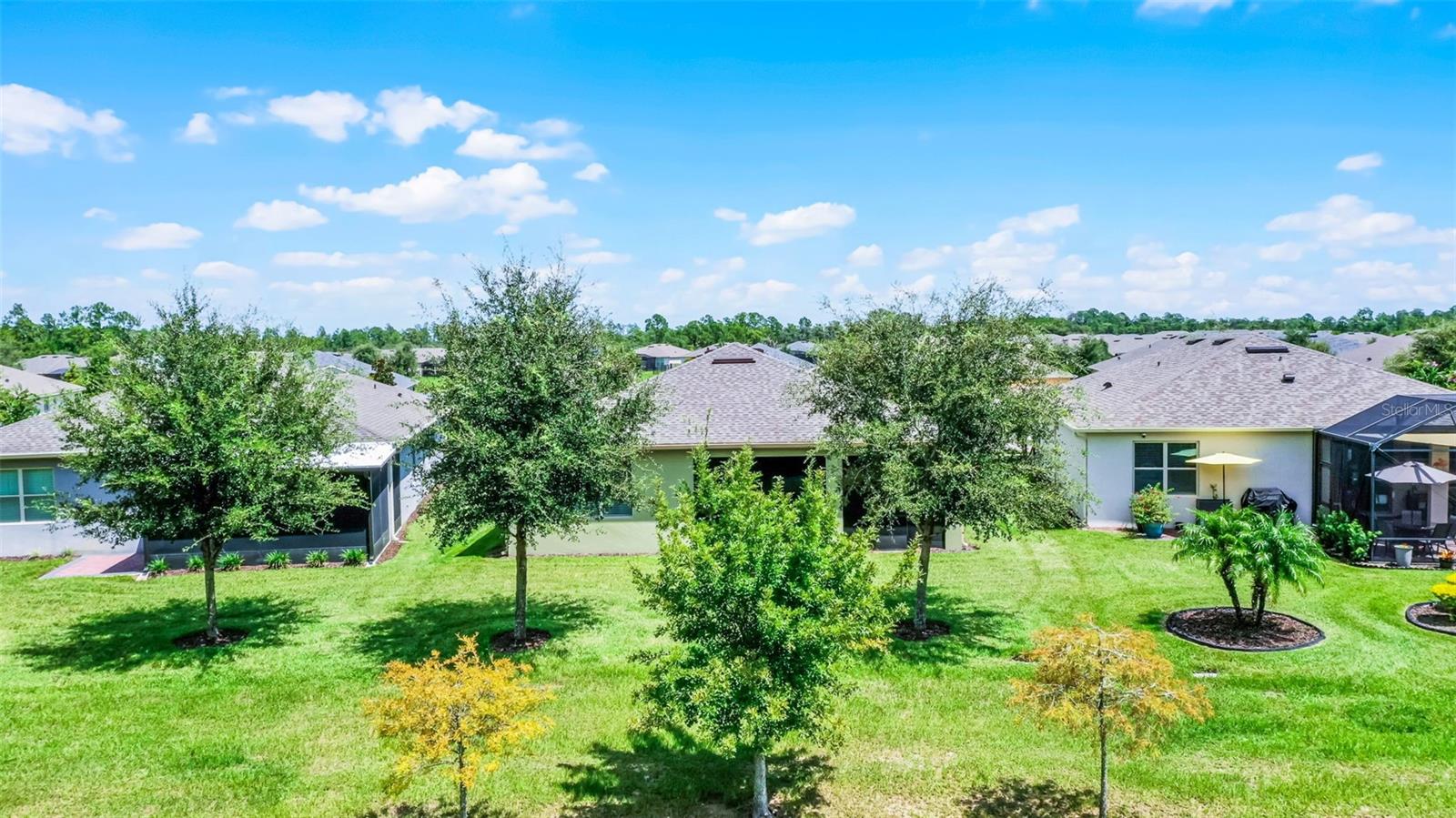 17834 BLAZING STAR CIR, CLERMONT, FL, 34714