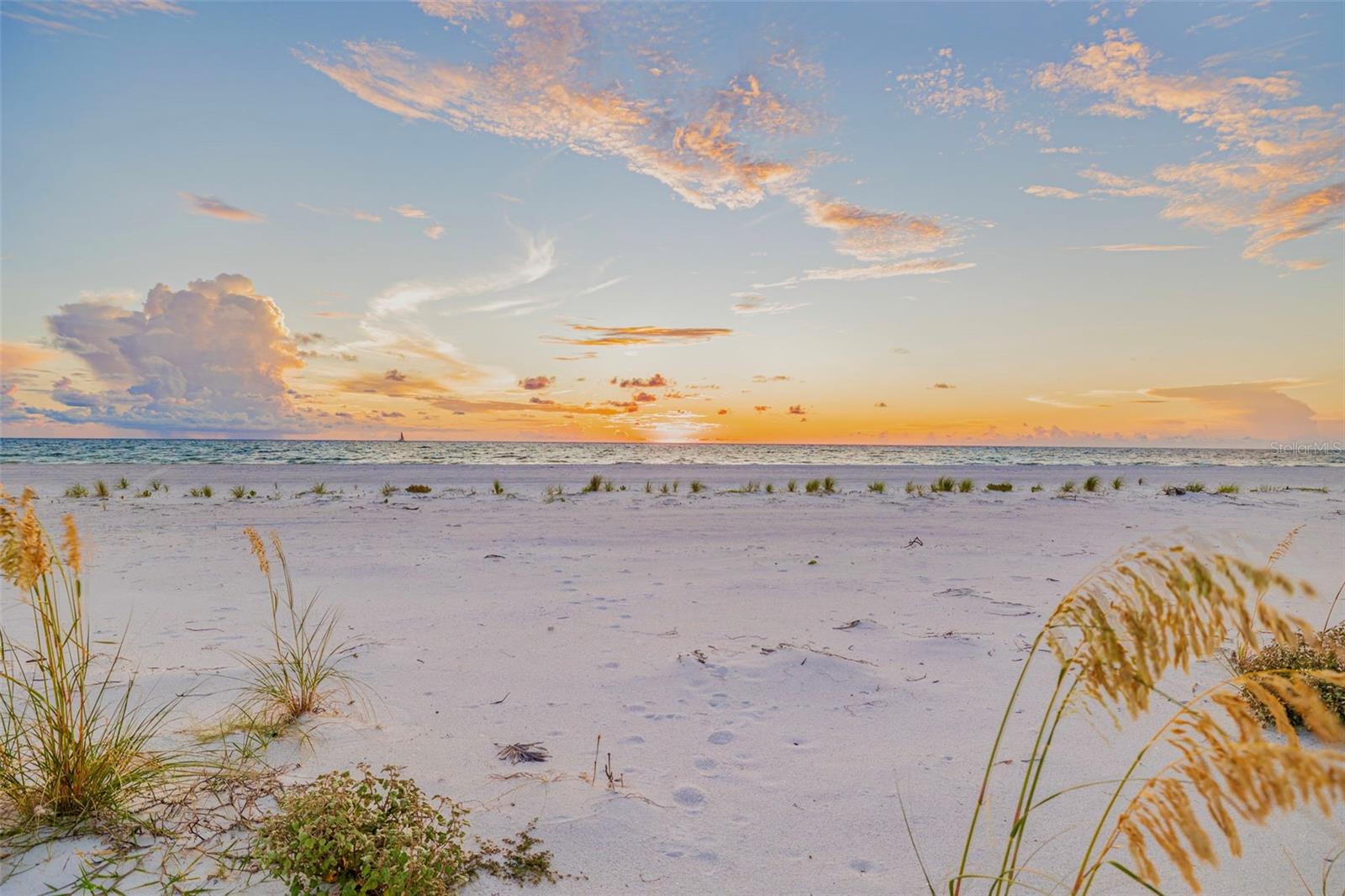 TB8421060 Property Photo