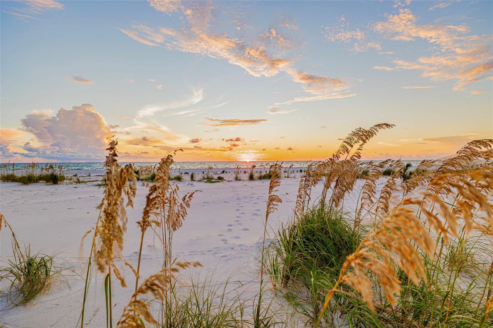 TB8421060 Property Photo