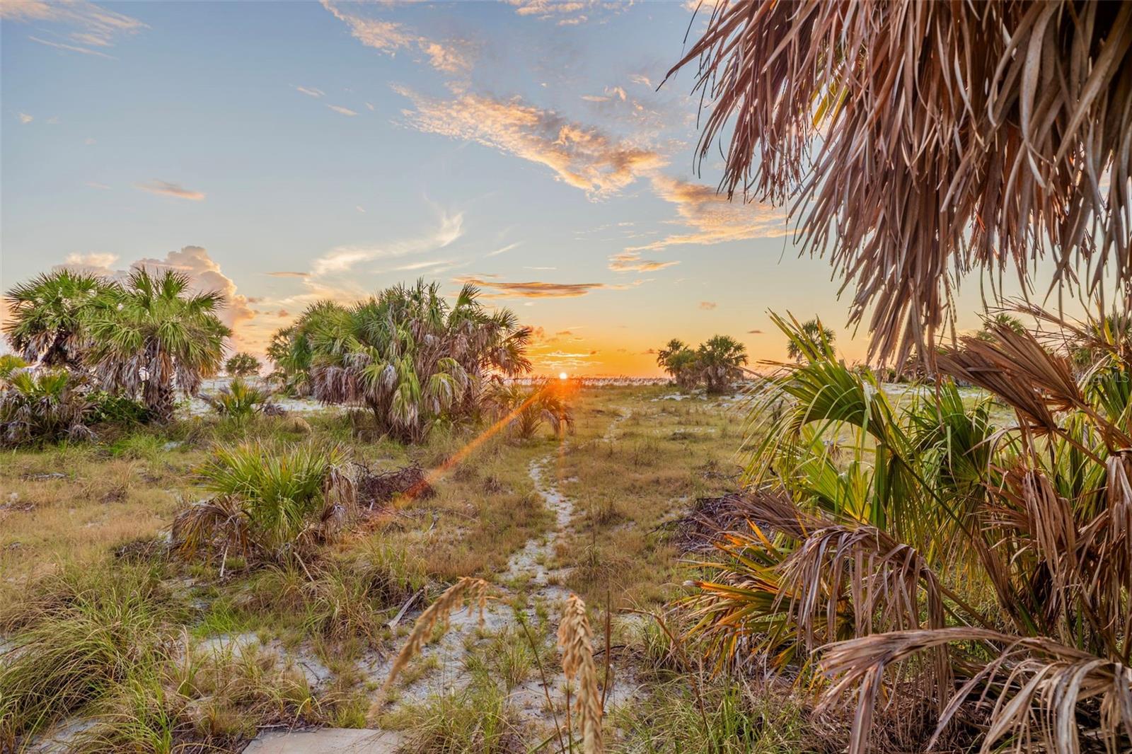 TB8421060 Property Photo