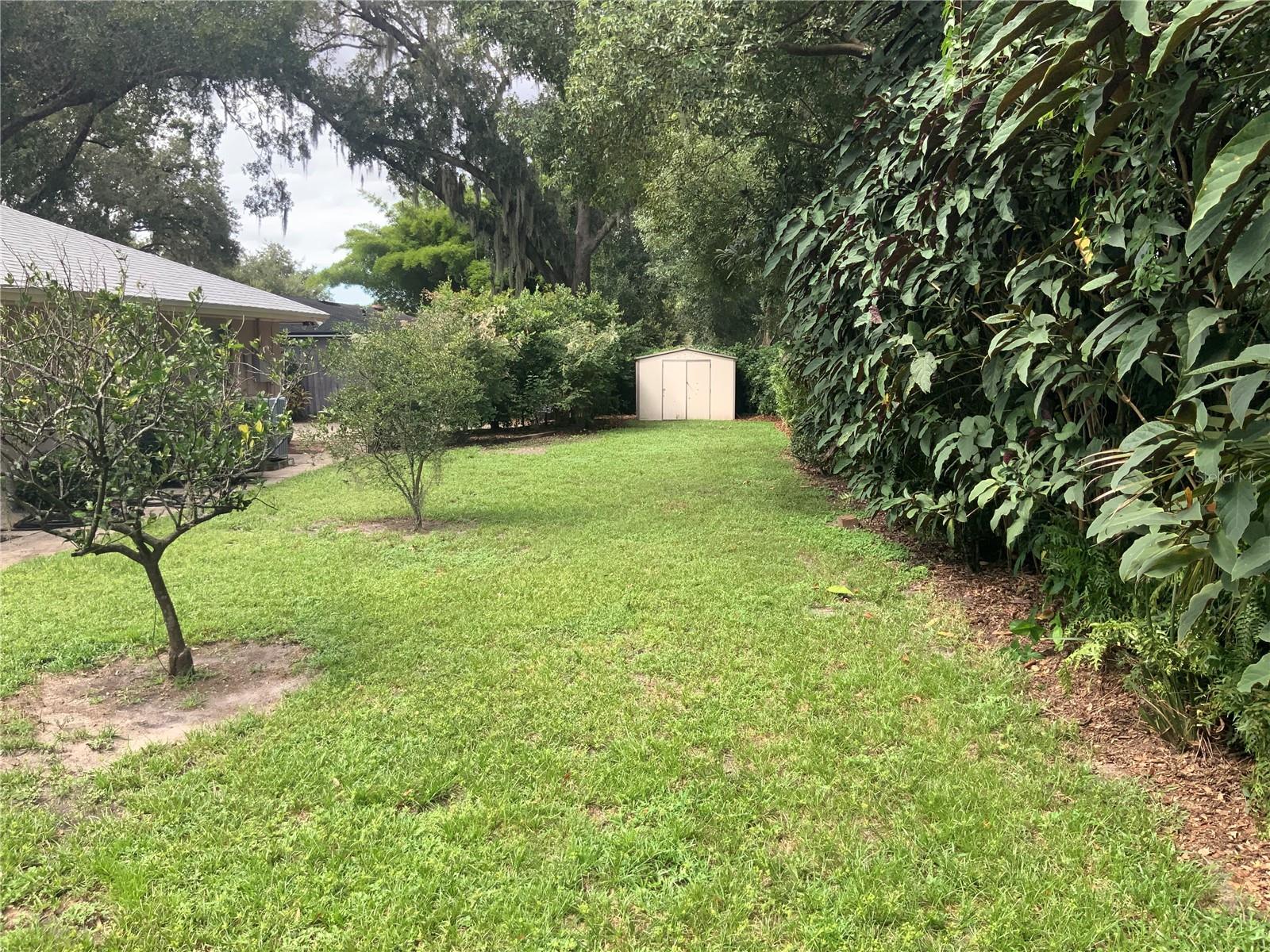 3351 WALD RD, ORLANDO, FL, 32806