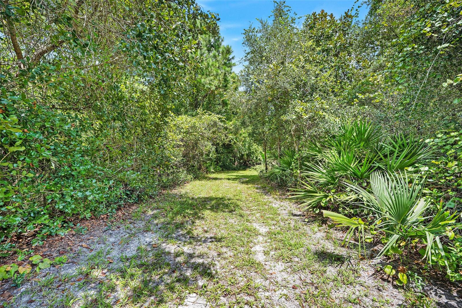 32347 PONDEROSA AVE, DELAND, FL, 32720