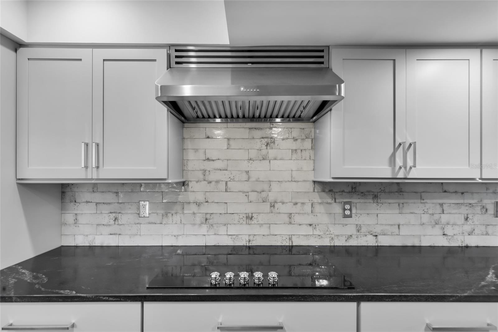 1111 LAKESHORE DR #A3, EUSTIS, FL, 32726