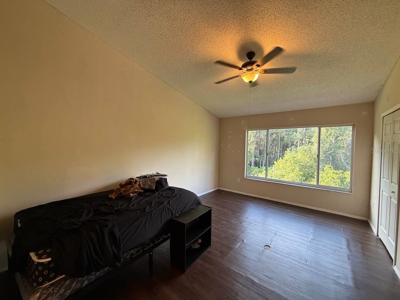 29916 ALTA VITA LN, WESLEY CHAPEL, FL, 33543