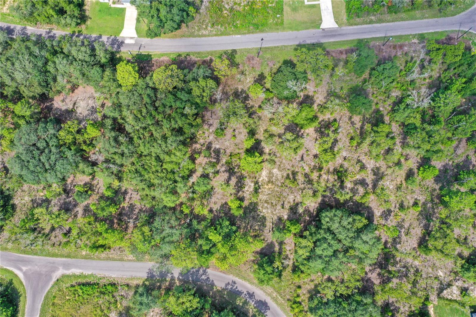 0024 GUAVA PASS DR, OCKLAWAHA, FL, 32179