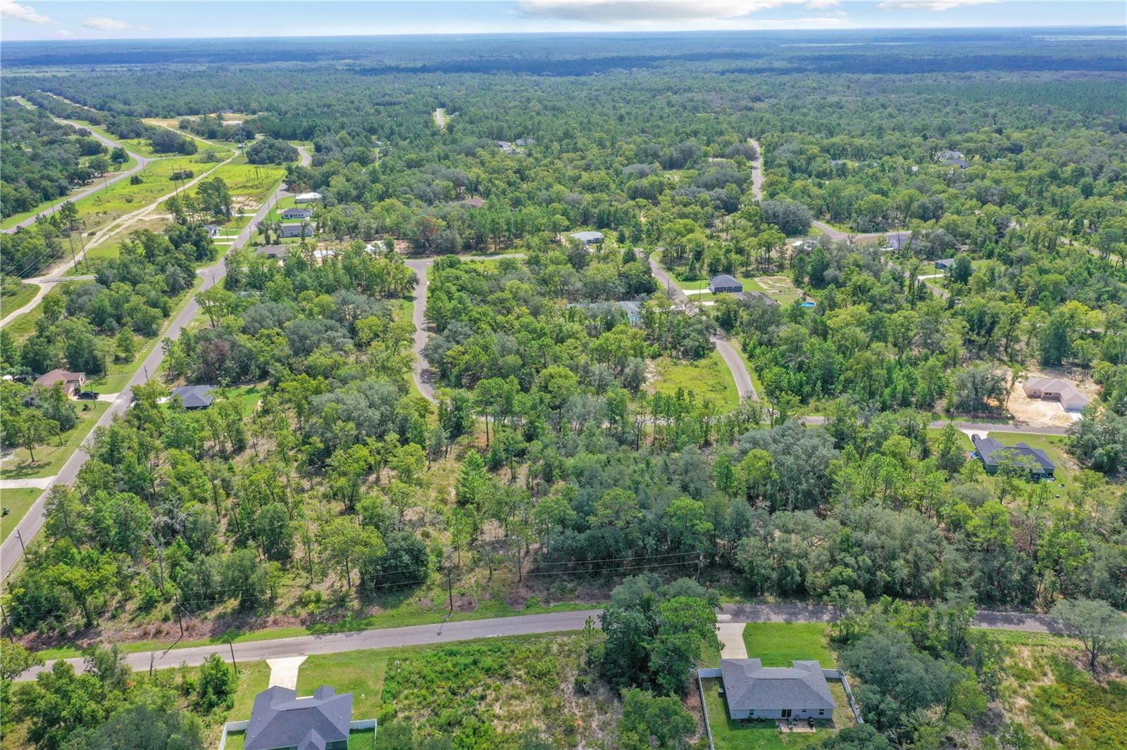 0024 GUAVA PASS DR, OCKLAWAHA, FL, 32179