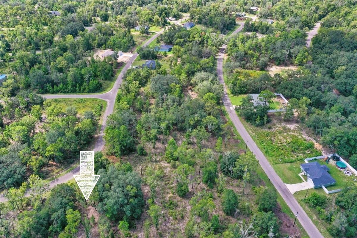 0024 GUAVA PASS DR, OCKLAWAHA, FL, 32179