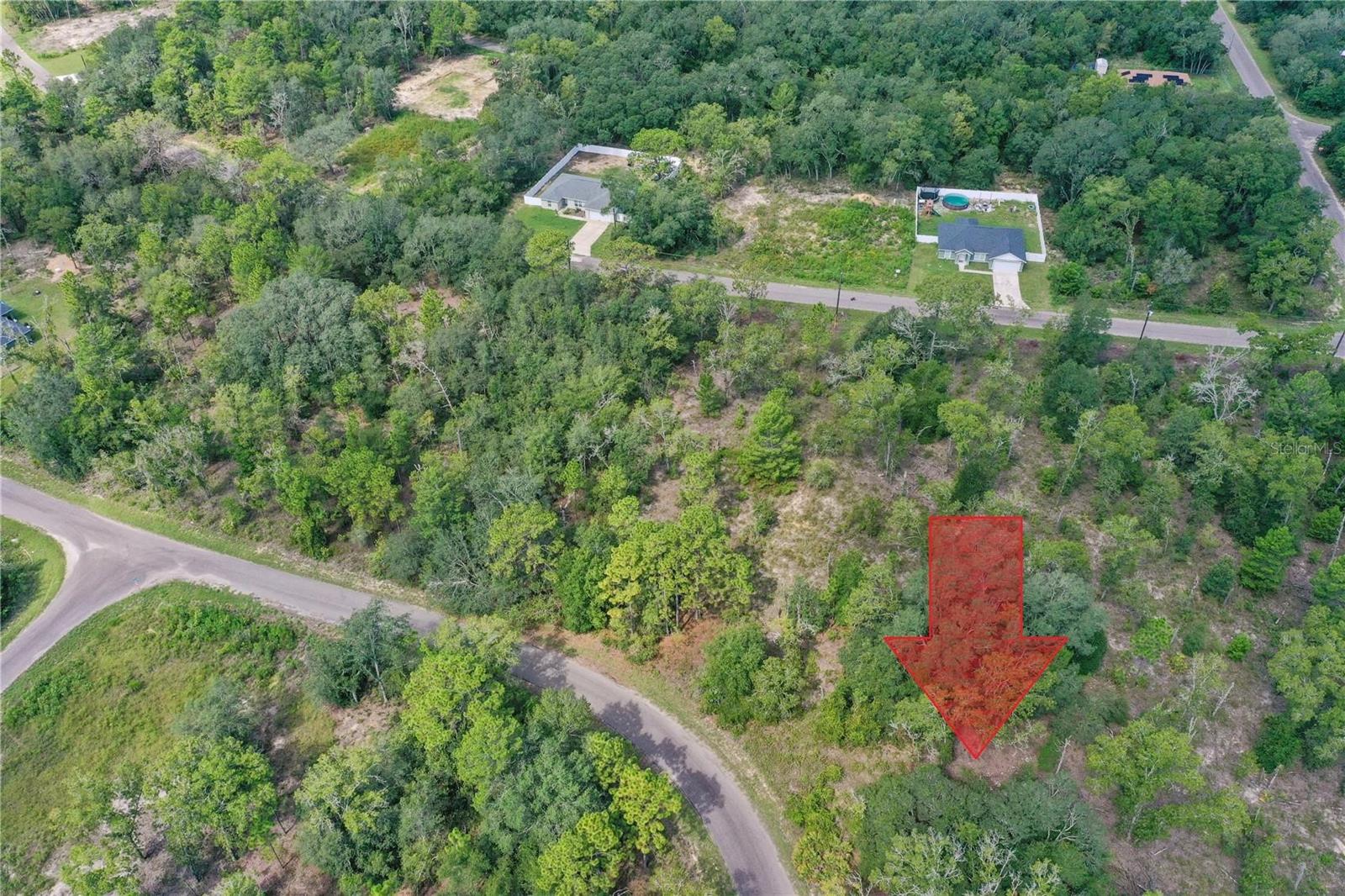 0024 GUAVA PASS DR, OCKLAWAHA, FL, 32179